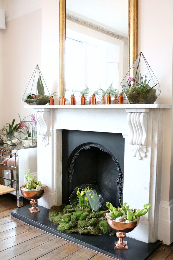 Decoración chimenea con plantas