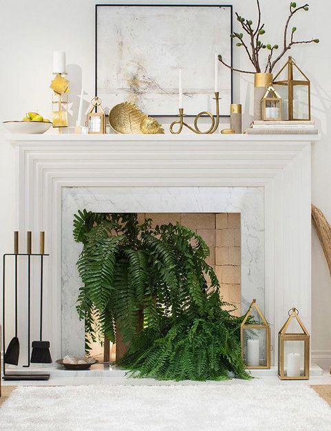 Decoración chimenea con plantas