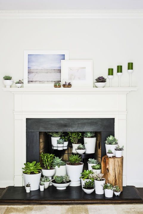 Decoración chimenea con plantas