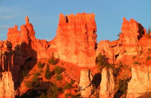 Chimenea de hadas. Parque nacional Bryce Canyon (EEUU) 1