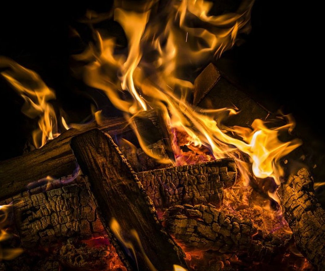 Astillas y Piñas secas para encendido de Chimenea al mejor precio