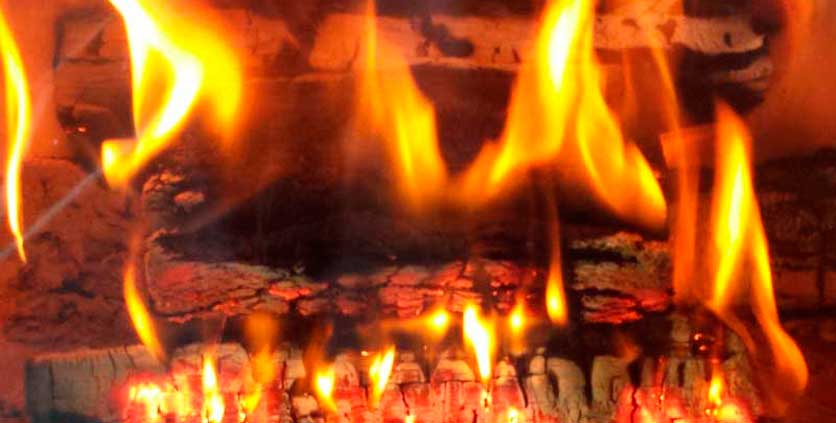 Cuál es la mejor leña para la chimenea? ⇒ Tipos de leña